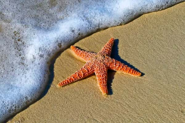 Kasilof River Beach, Kasilof- Best Beaches in Alaska